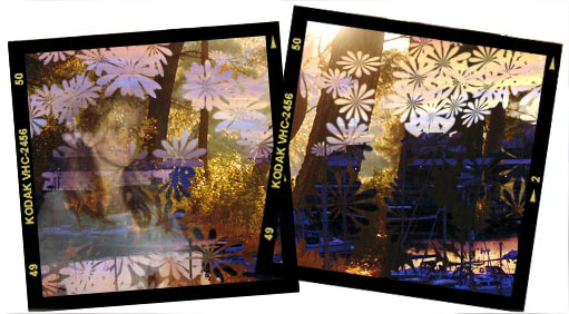 Two Kodak negatives with montage image of young Julia sunset hills and Milford Haven
